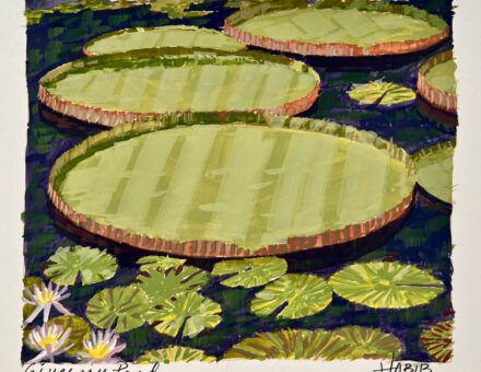 Giverny Pond