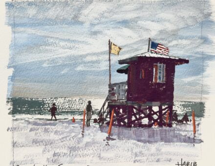 Siesta Key Summer
