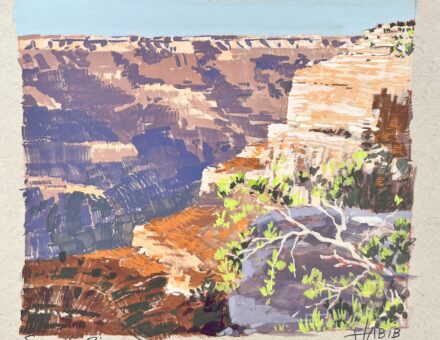 South Rim